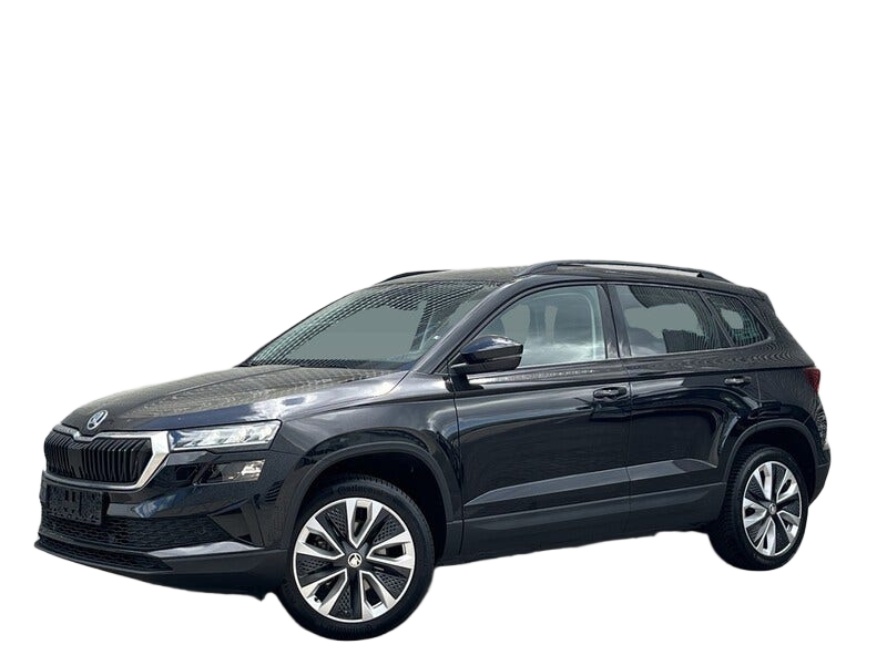 Skoda Karoq occasion