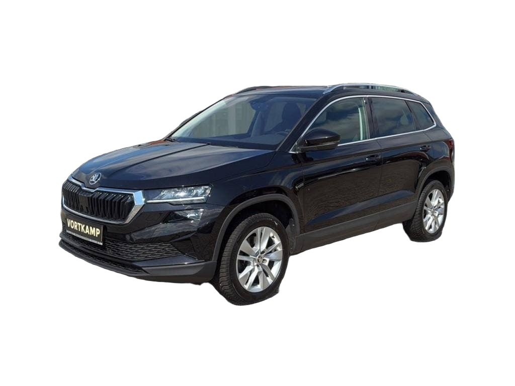 Skoda Karoq occasion