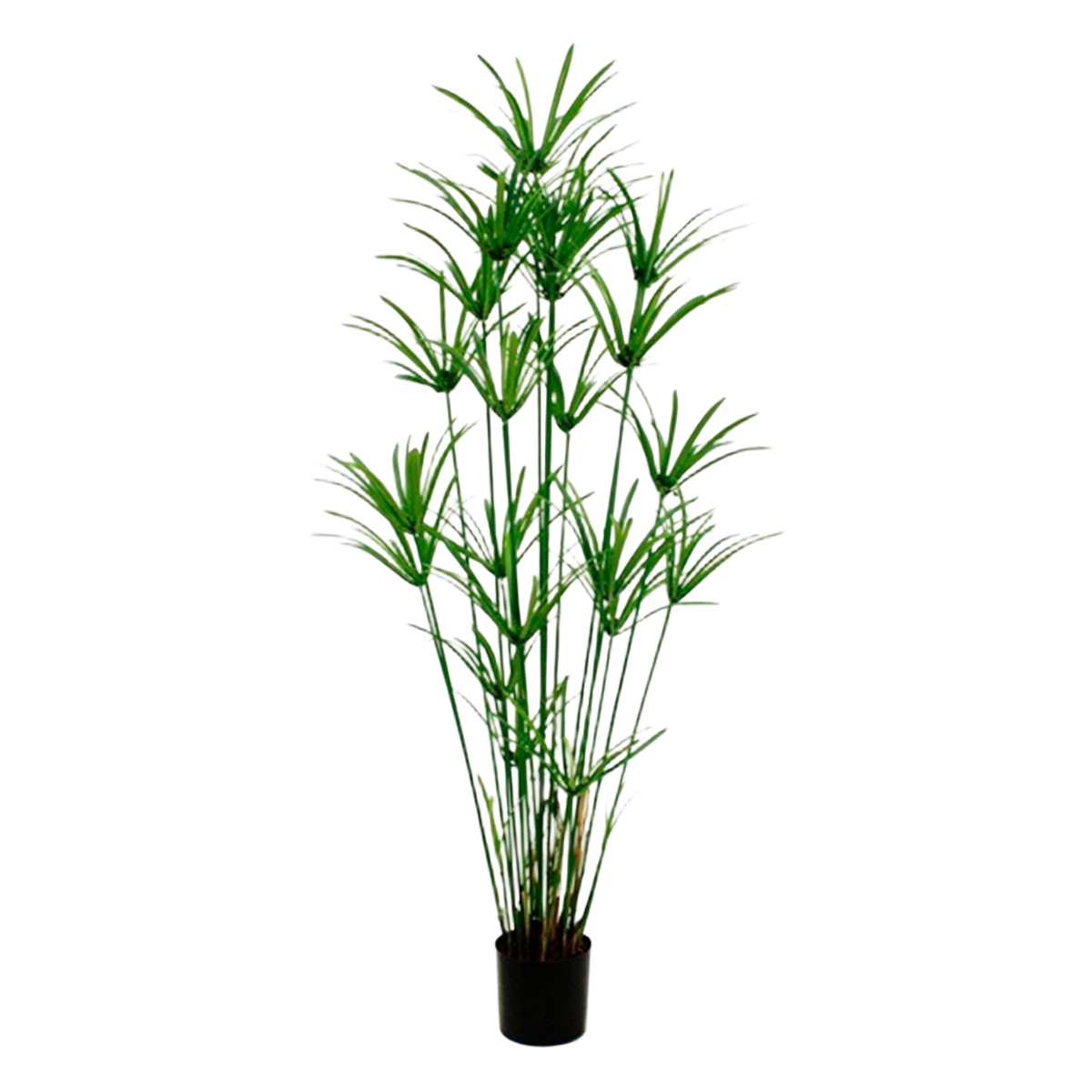 Papyrus deluxe kunstplant 175cm