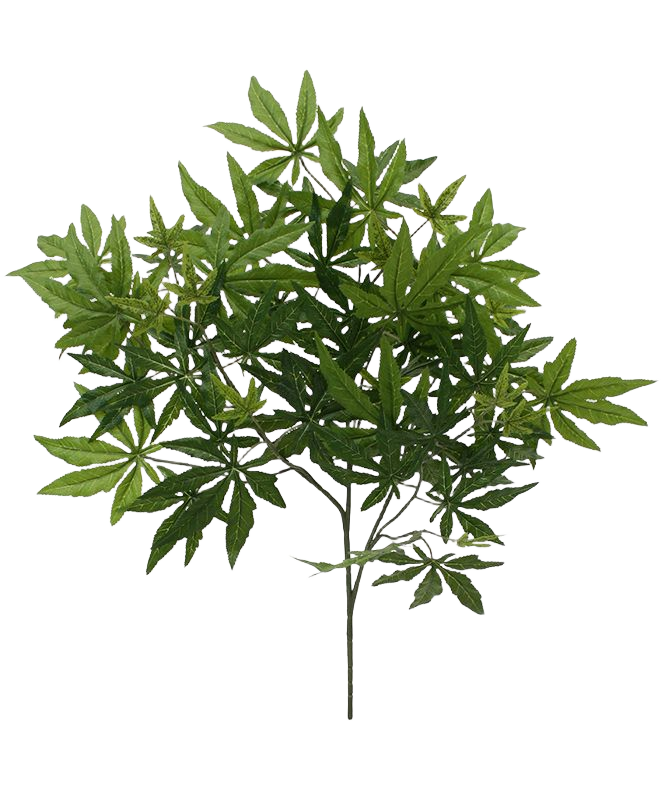 Acer Maple kunsttak x57 FR