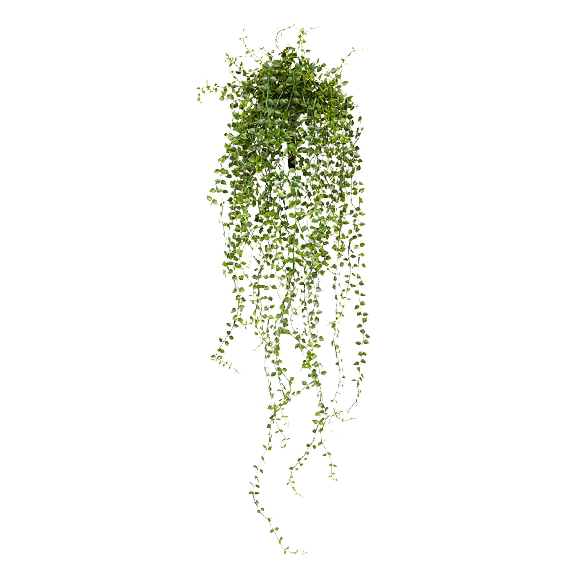Callisia kunst hangplant 70cm - UV bestendig