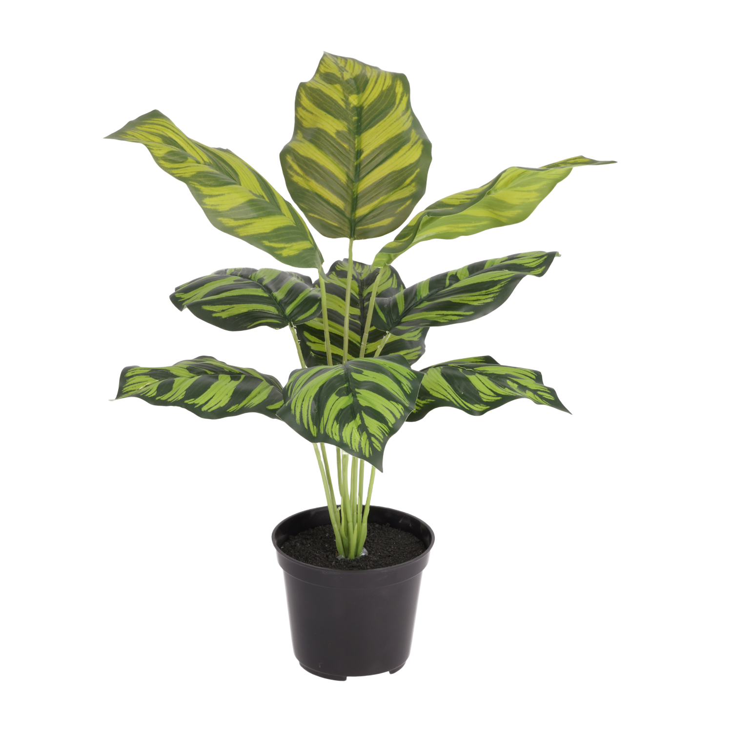 Calathea Maranta kunstplant 40cm in kweekpot