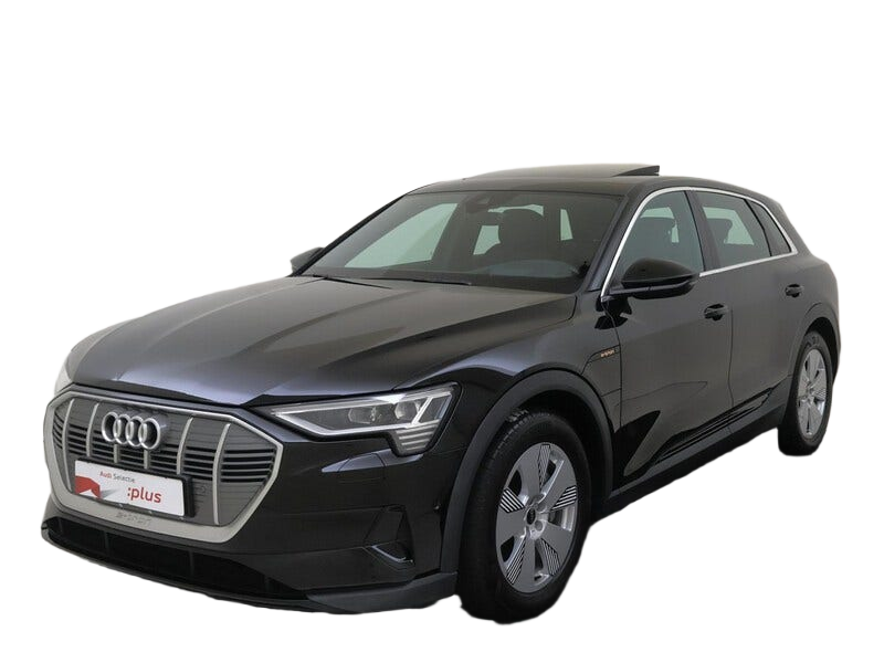 Audi e tron occasion