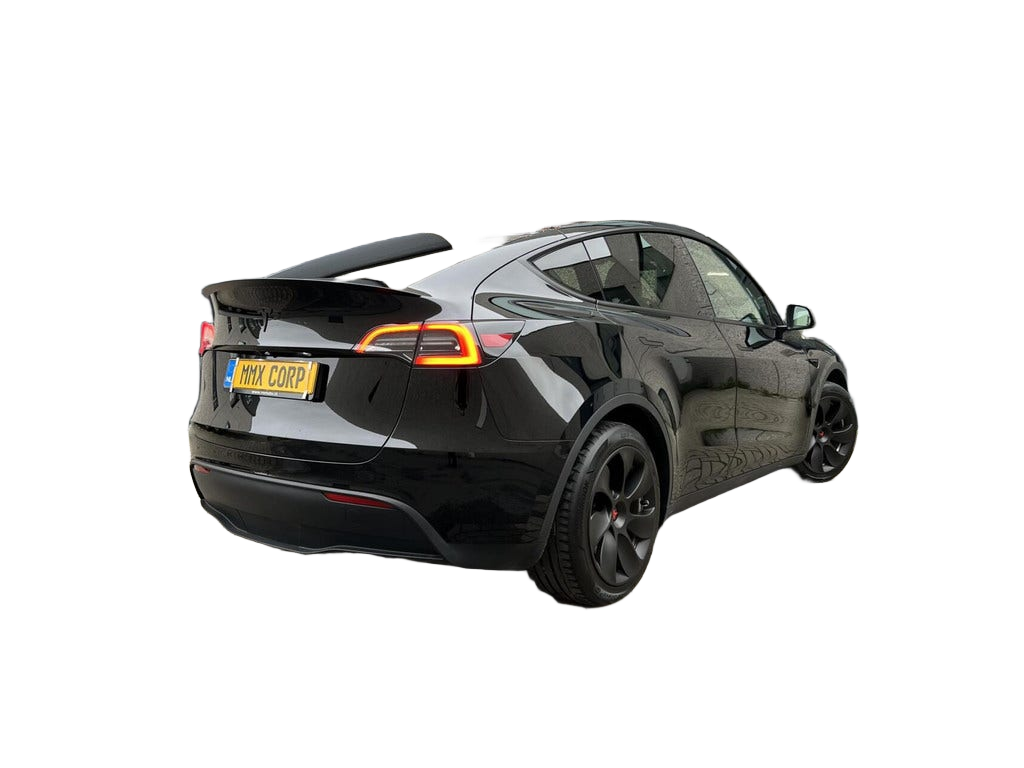 Tesla Model Y occasion