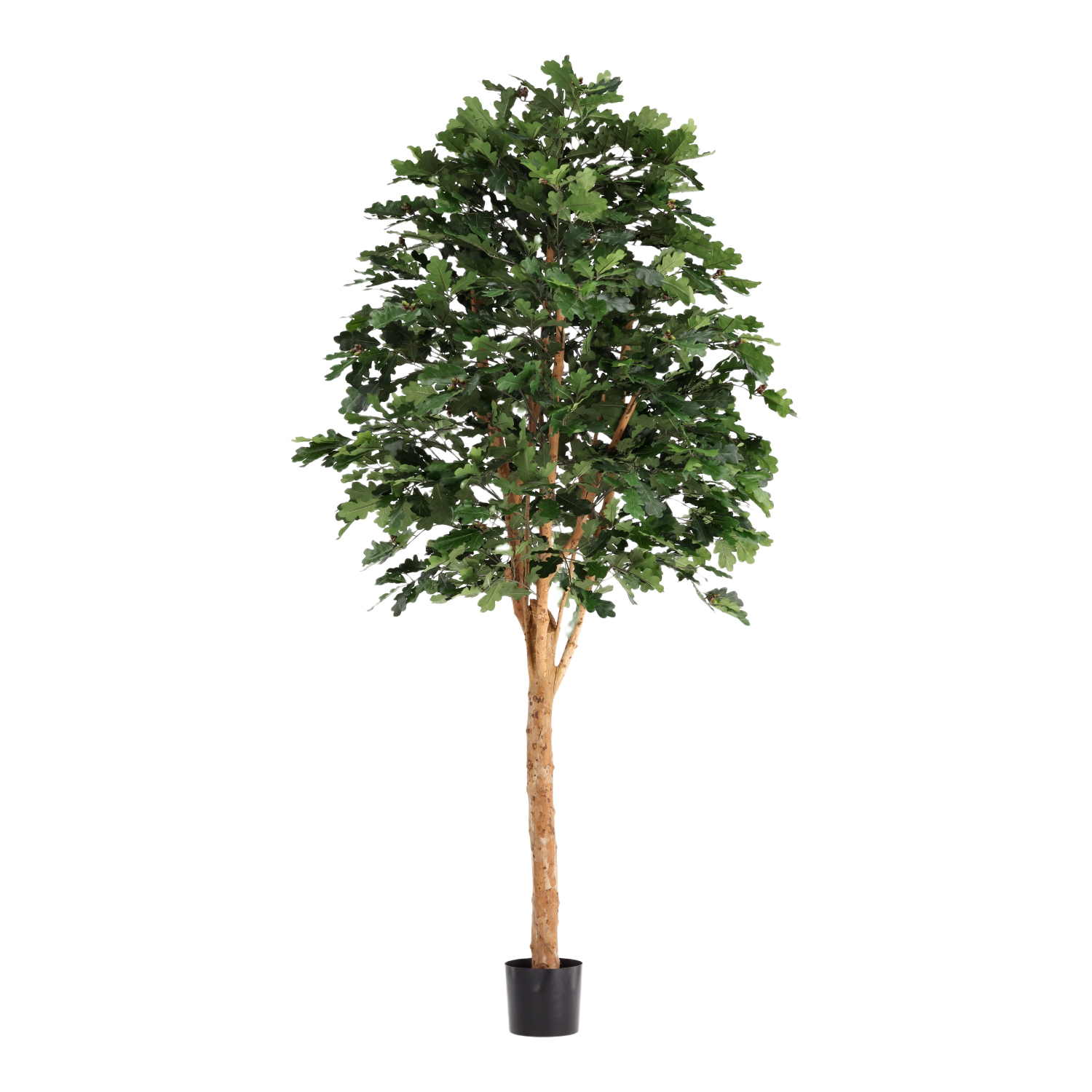 Kunst Eikenboom Deluxe 250cm