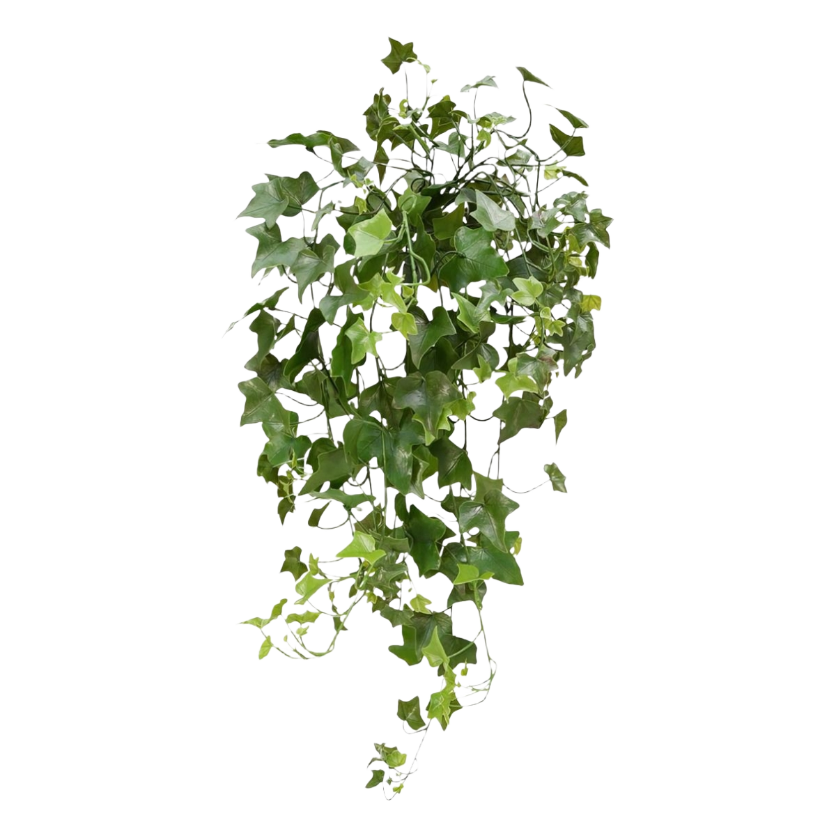 Hedera kunst hangplant 65cm - UV bestendig