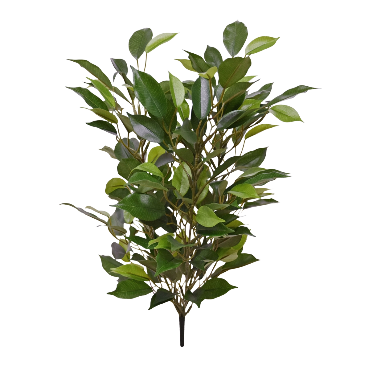 Ficus Natasja Kunstplant 40cm