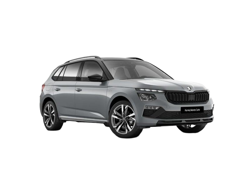 Skoda Kamiq occasion
