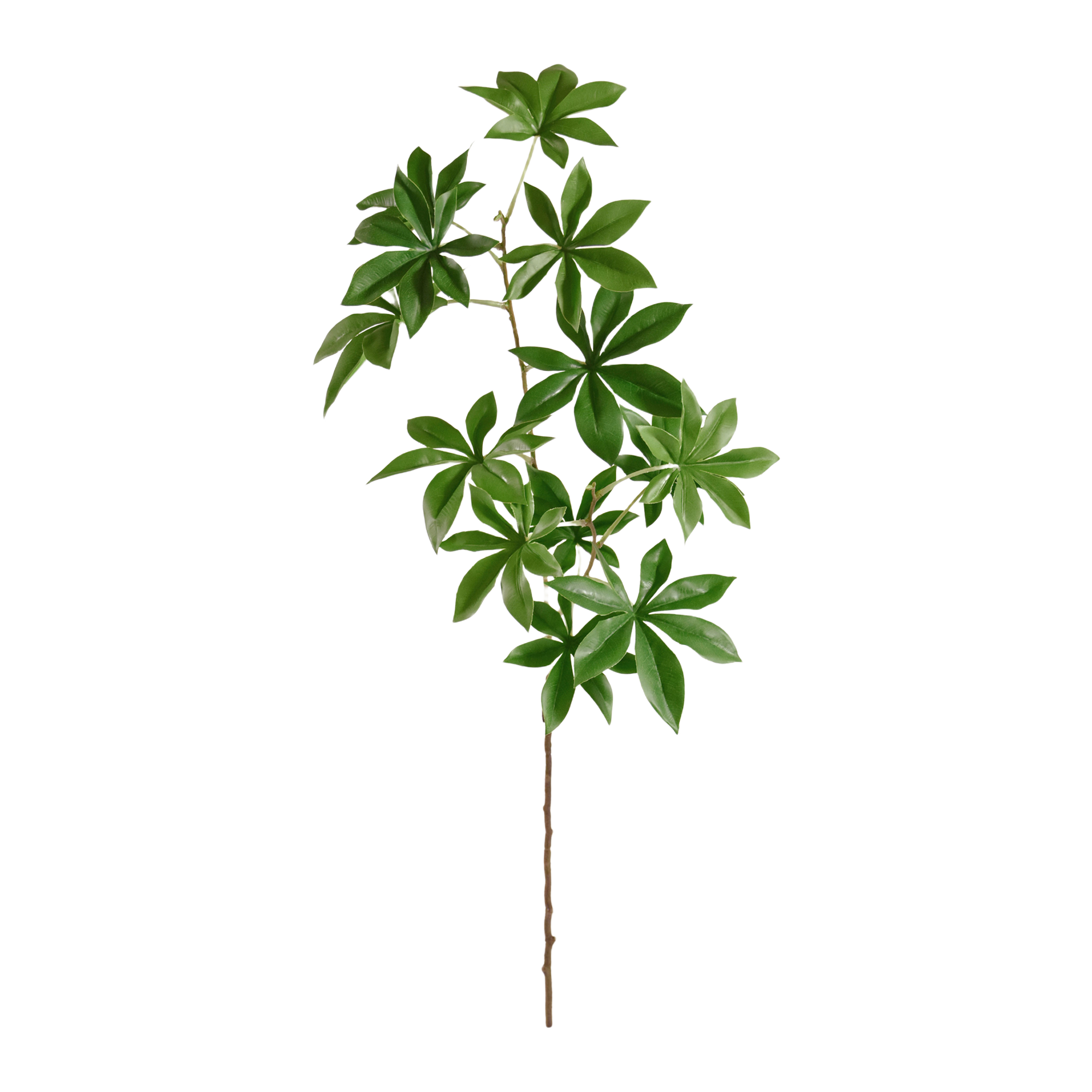 Adansonia kunst tak 80cm
