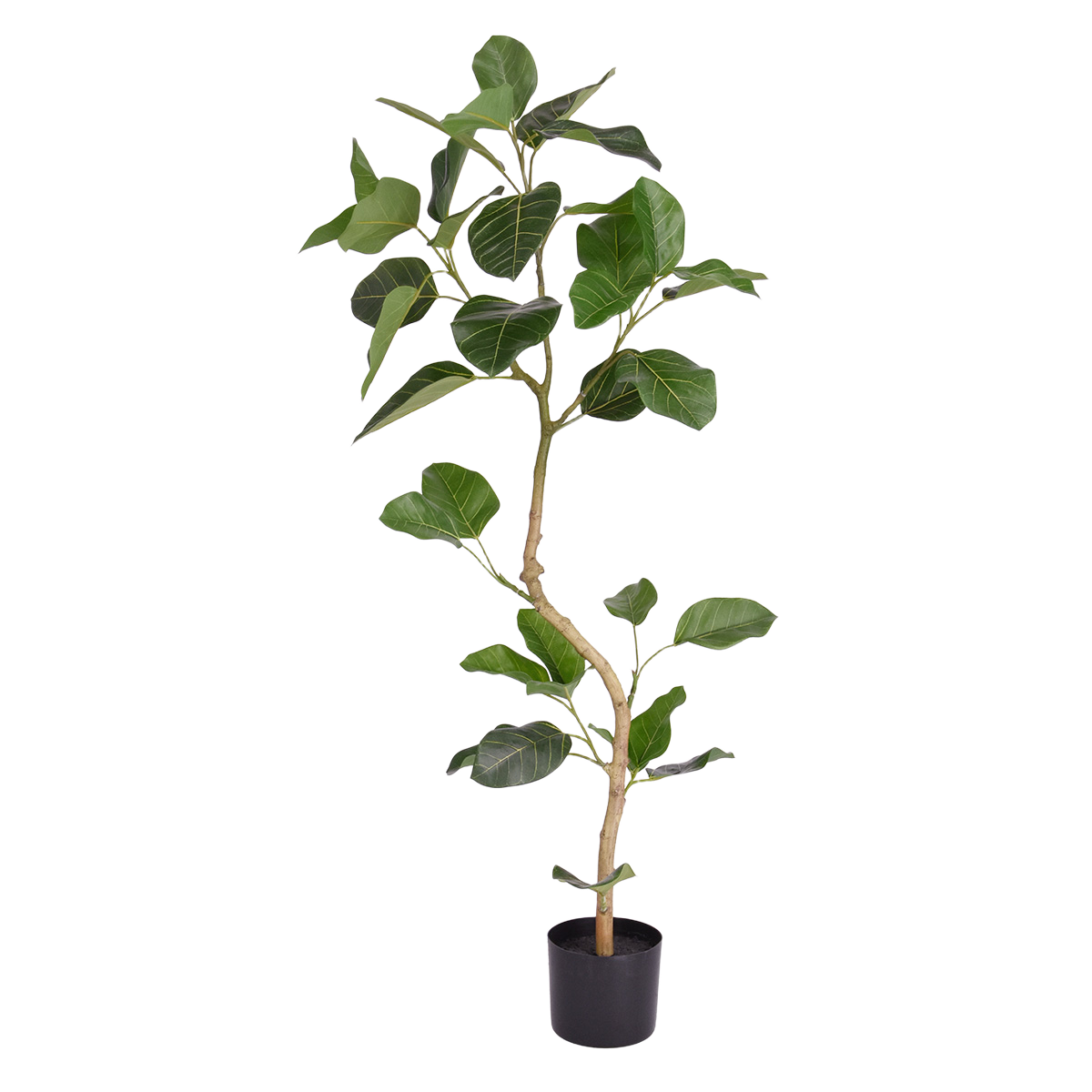 Ficus Audrey Kunstplant RT 120cm