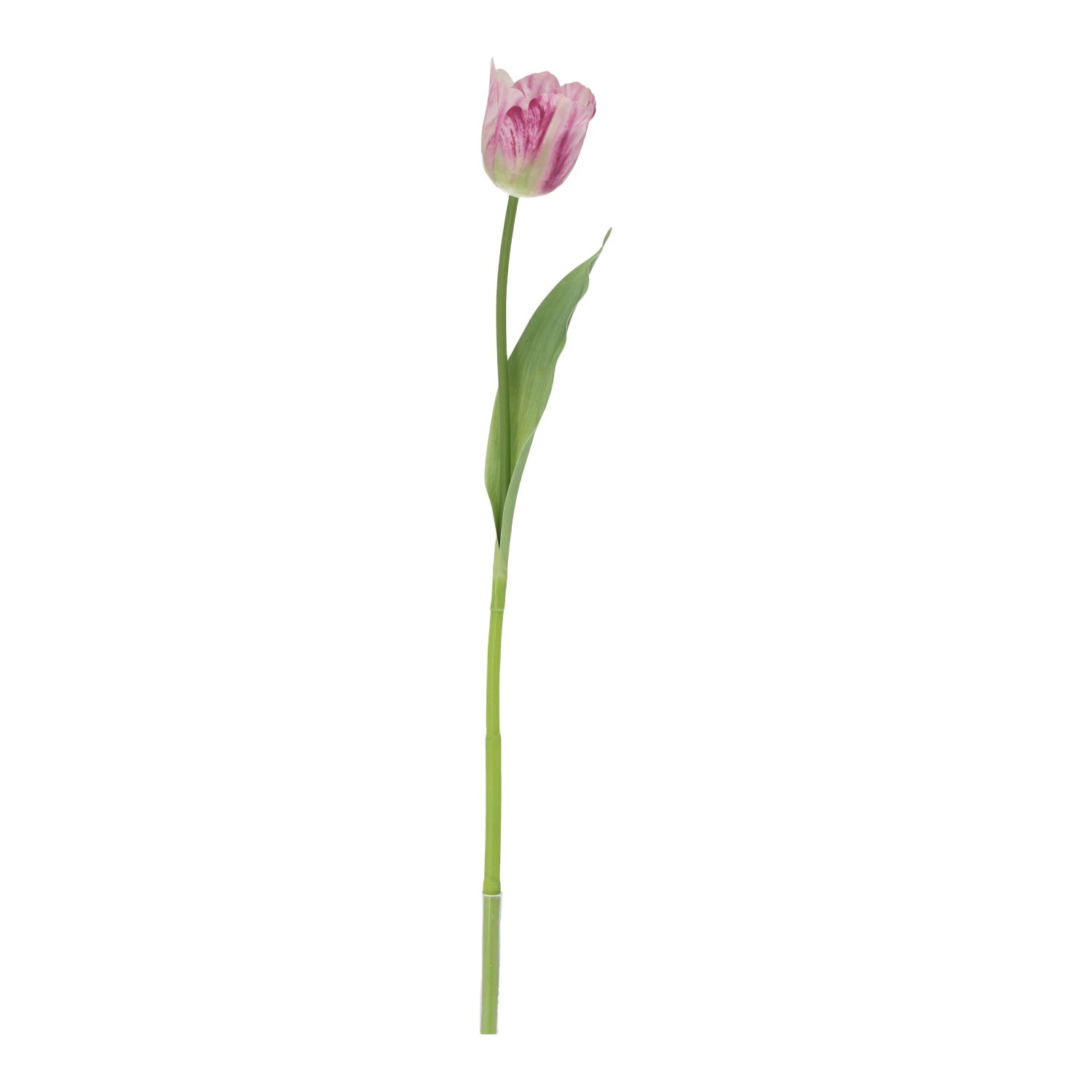 Tulpentak RT Kunstbloem 60cm Paars