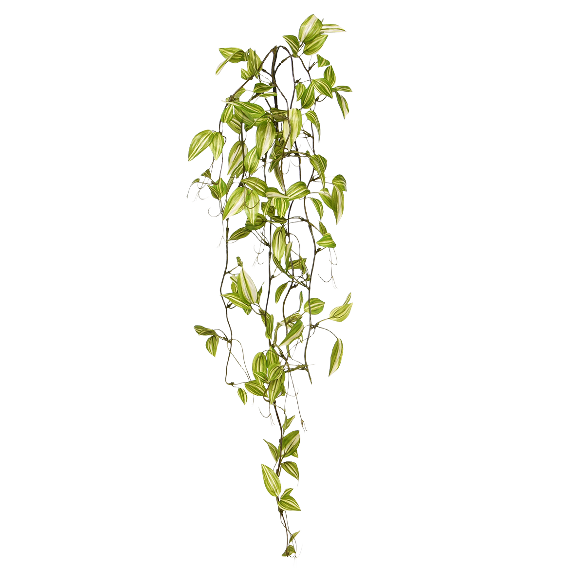Tradescantia Kunsthangtak groen-bont 80cm