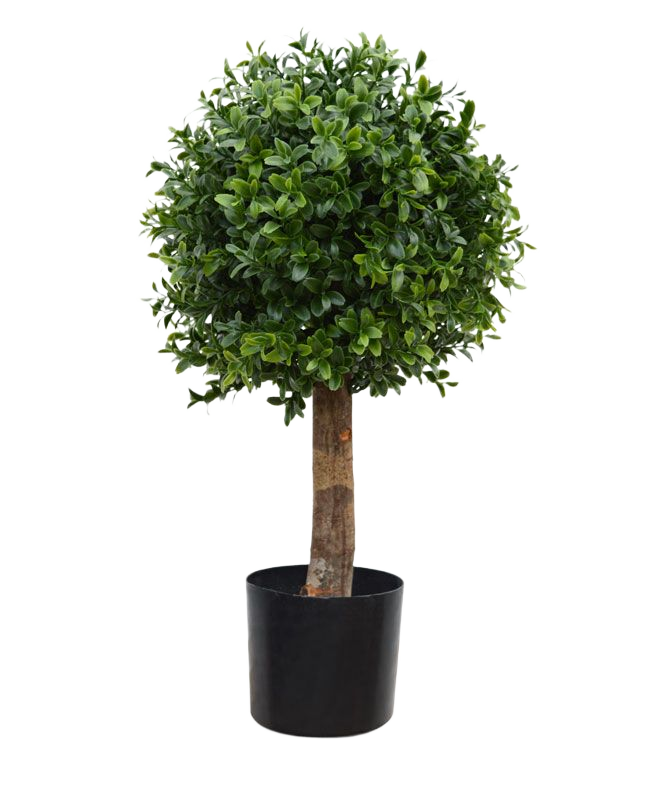 Buxus bol deluxe kunstplant 25cm