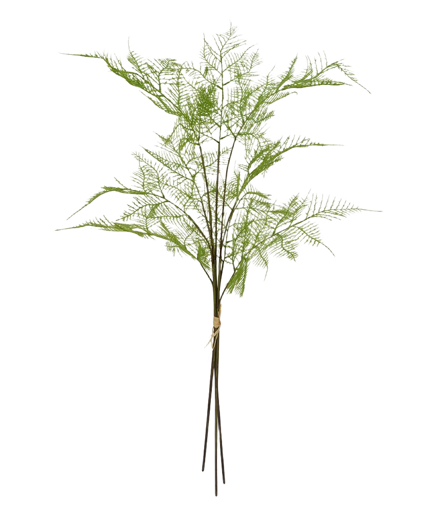 3x Asparagus kunsttak 85 cm - bundel