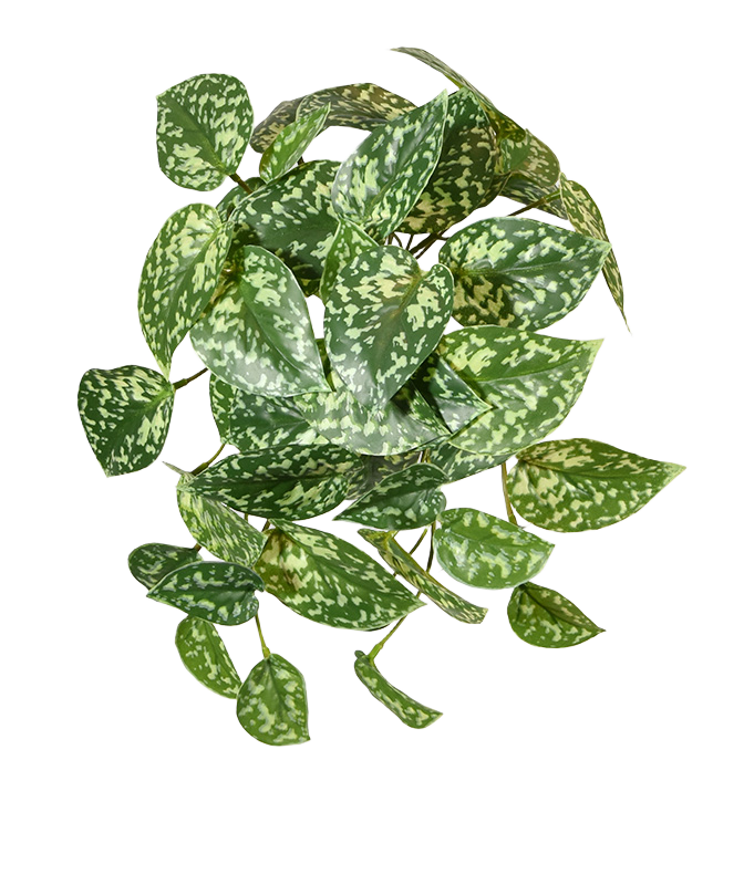 Pictus kunst hangplant 25cm - bont