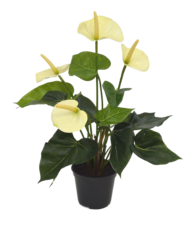Anthurium kunstplant 40cm - crème in 10cm kweekpot