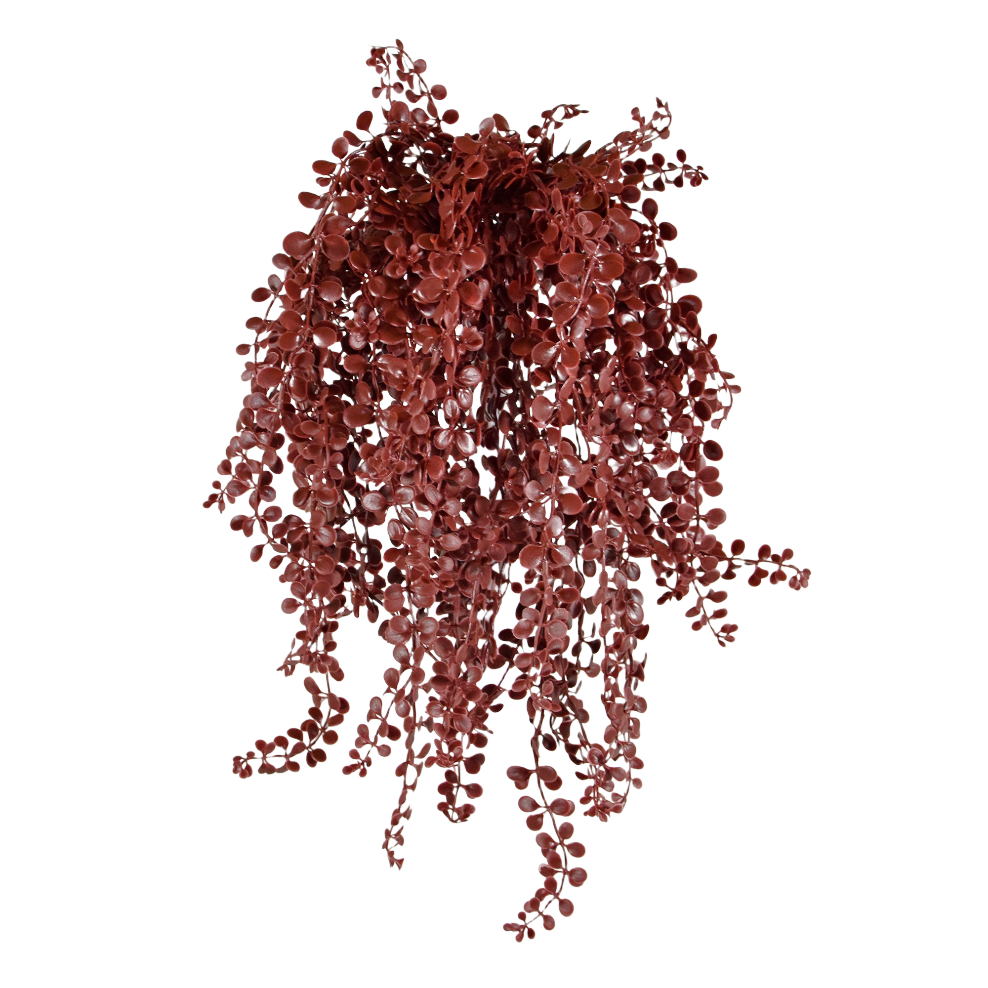 Dischidia kunst hangplant 40cm UV Burgundy