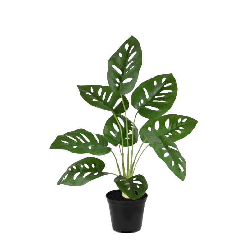 Monstera Adonsonii kunstplant 40cm in pot