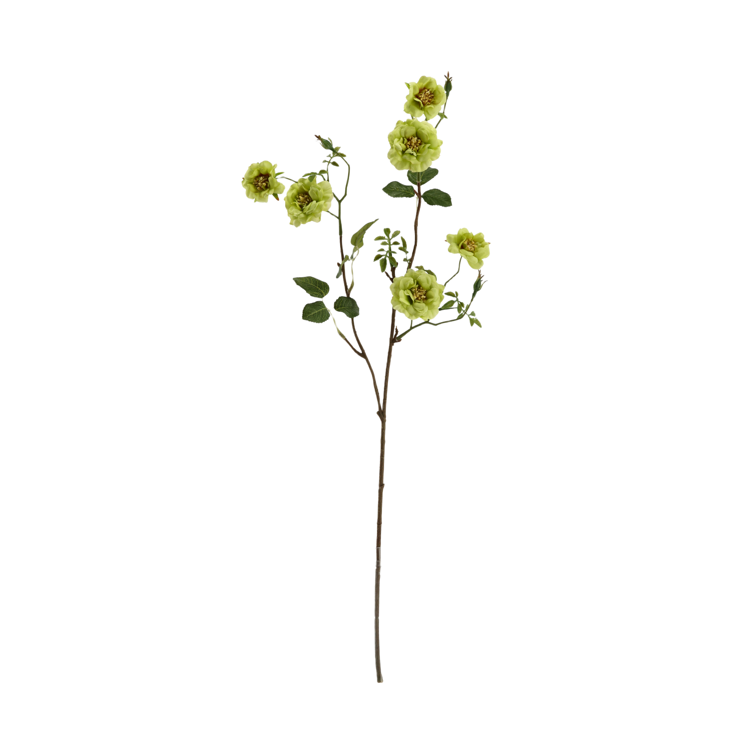 Wilde Rozen Kunsttak 71cm Groen
