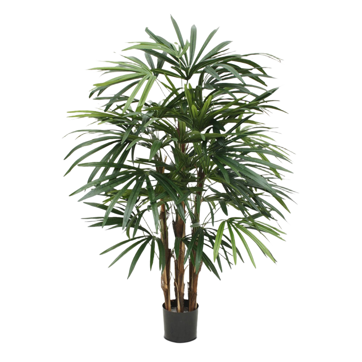 Raphis deluxe kunstpalm 100cm