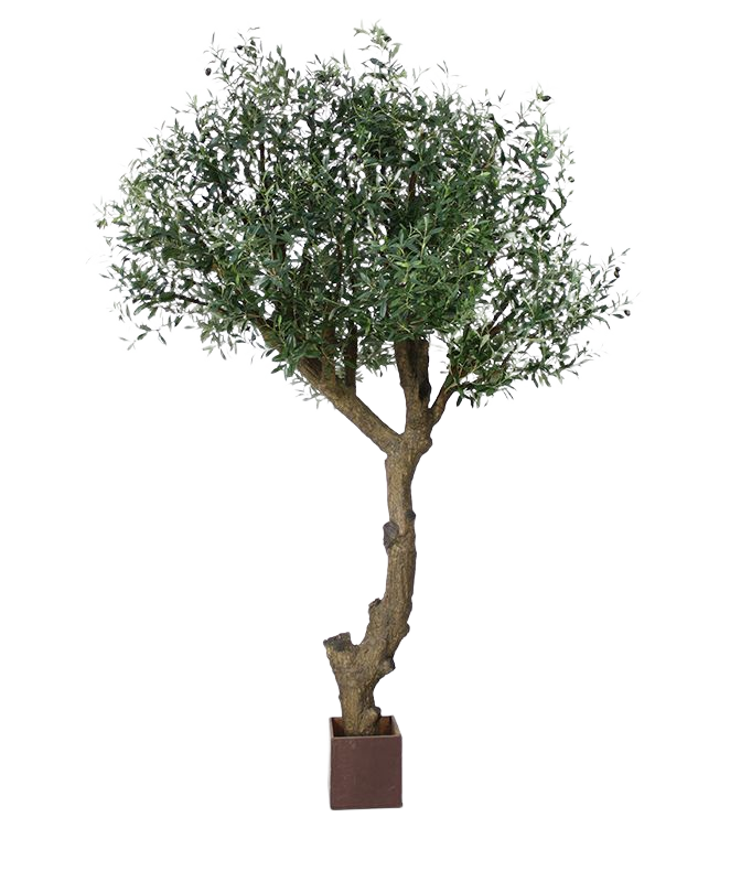 Olijf Giant Y stam kunstboom 270cm