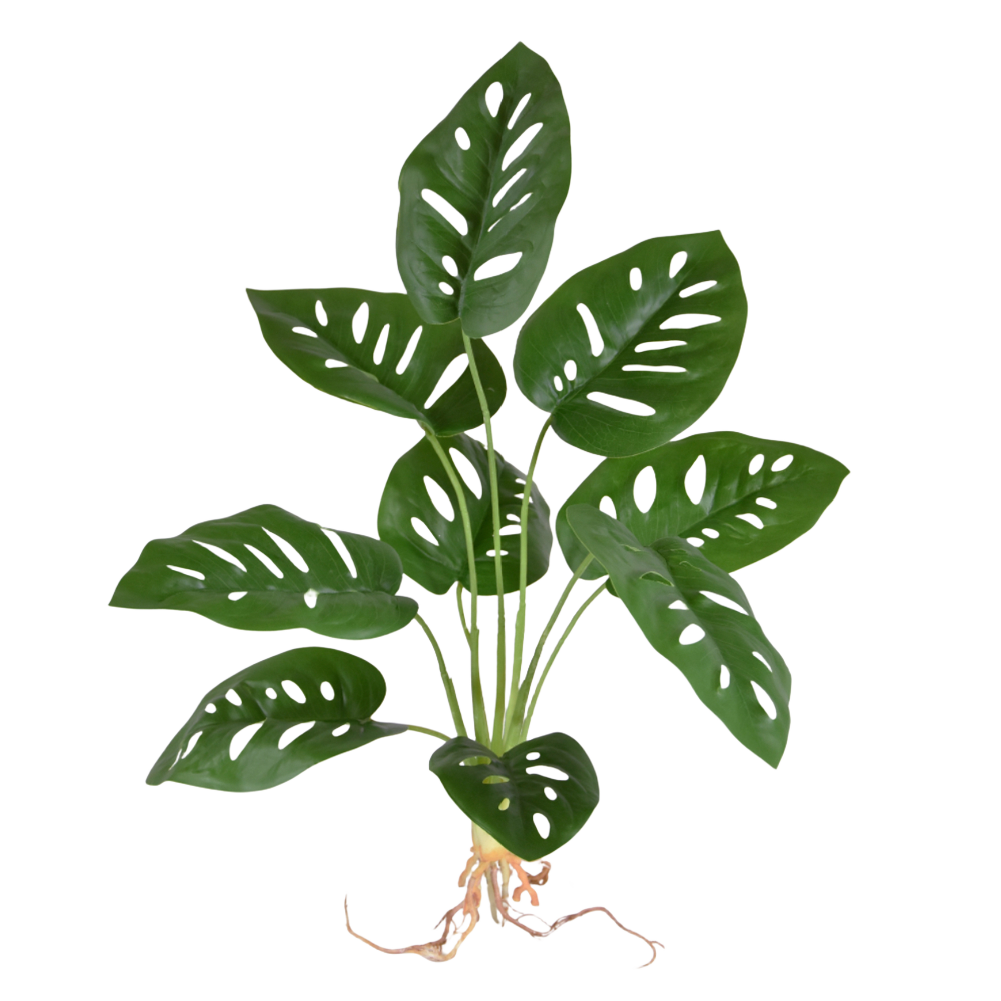 Monstera Adonsonii kunstplant 40cm