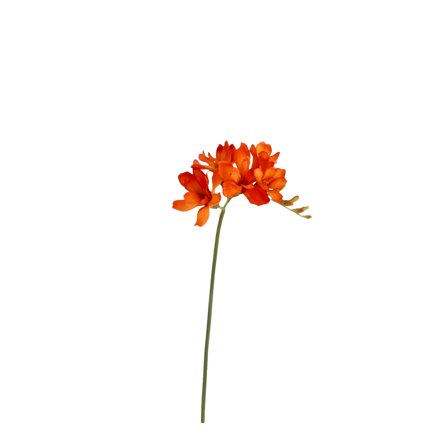 Freesia Kunsttak 53cm Oranje