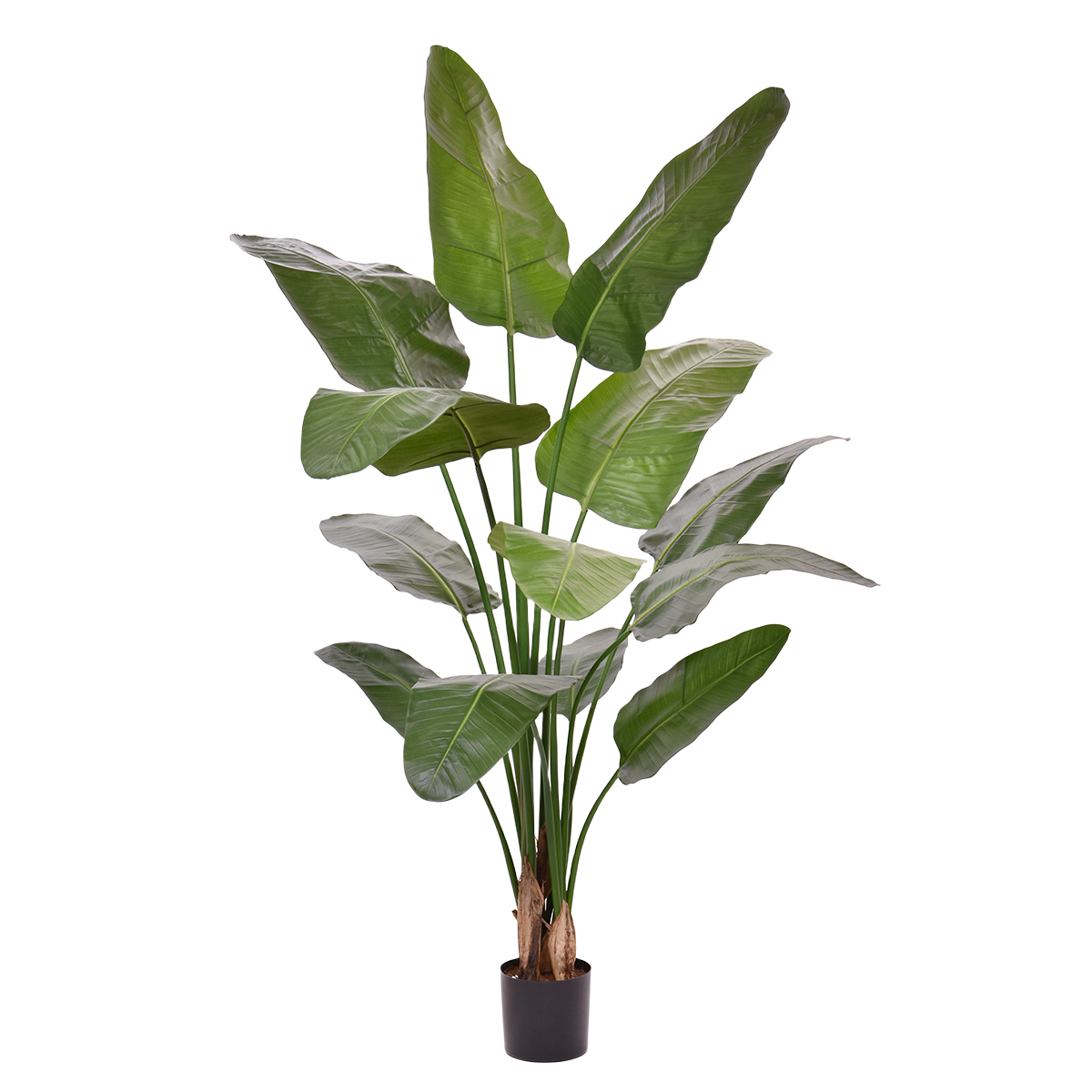 Strelitzia Nicolai deluxe Kunstpalm 170cm in pot