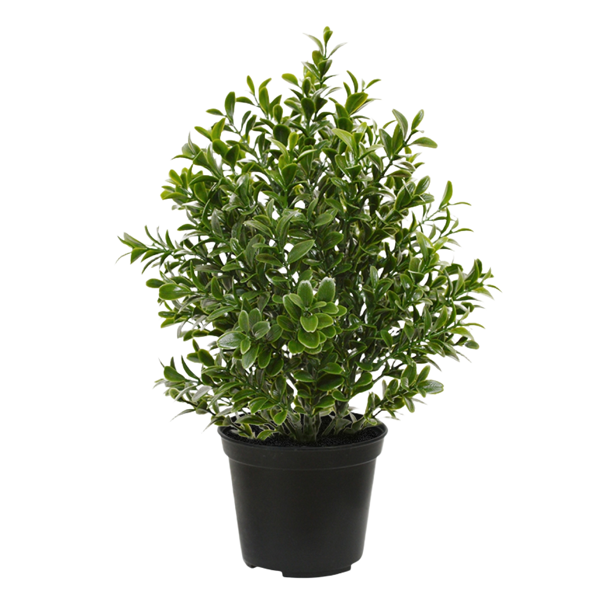 Buxus kunstplant 30cm in pot - UV bestendig