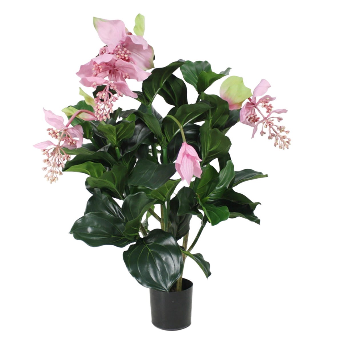 Medinella deluxe kunstplant 100cm