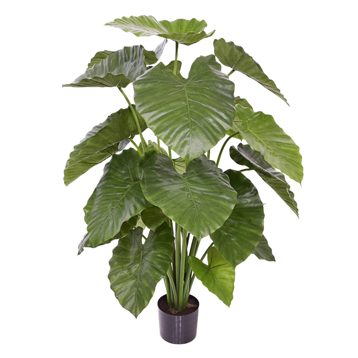 Alocasia Calidora kunstplant 115cm