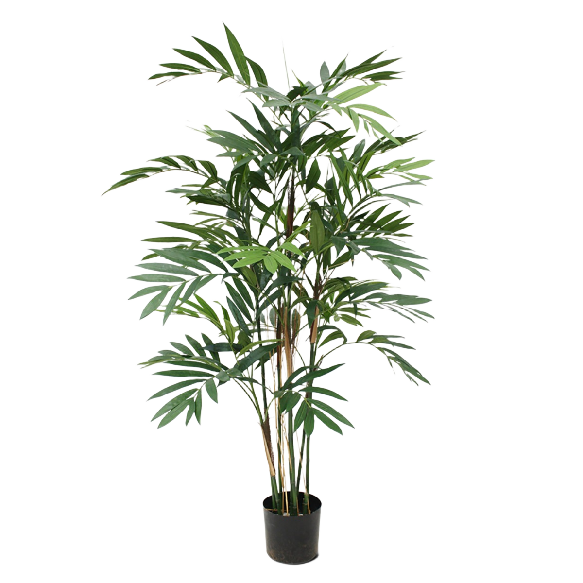 Chamaedorea kunstpalm deluxe 150 m