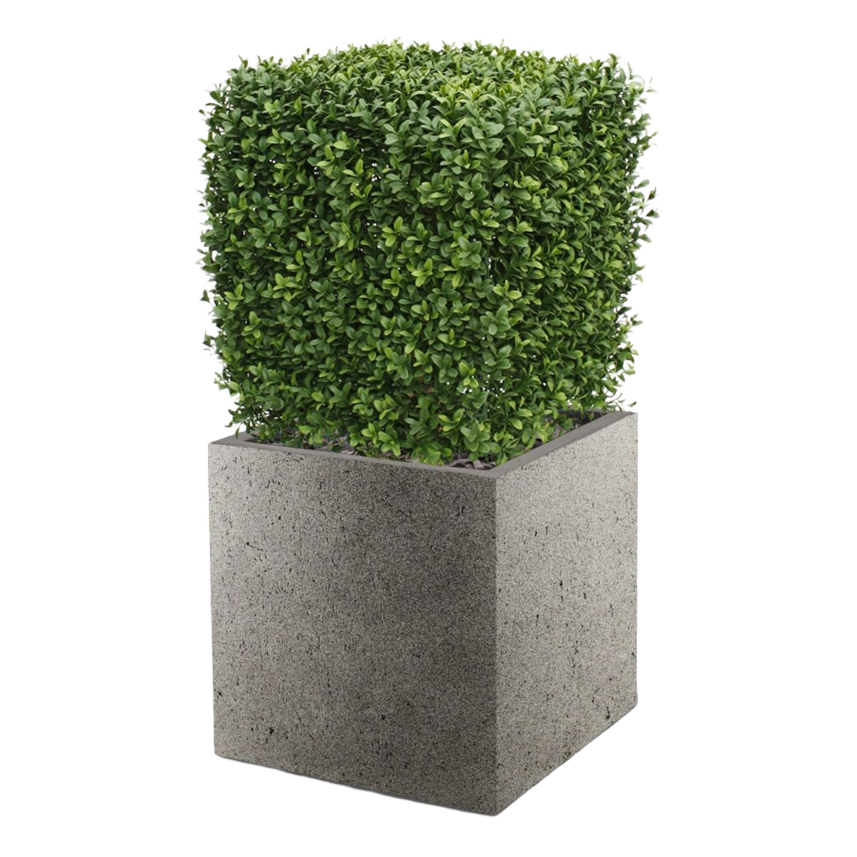 Buxus vierkant kunstplant 45cm - UV bestendig