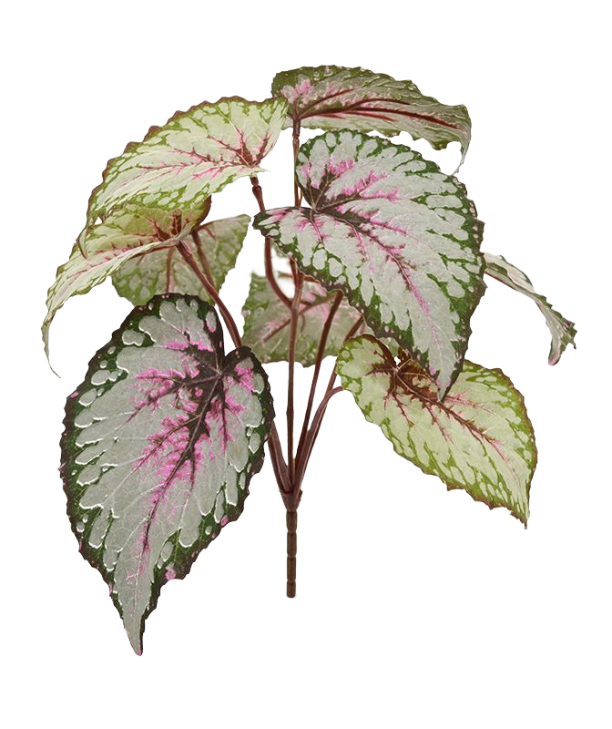 Bladbegonia kunstplant 25cm