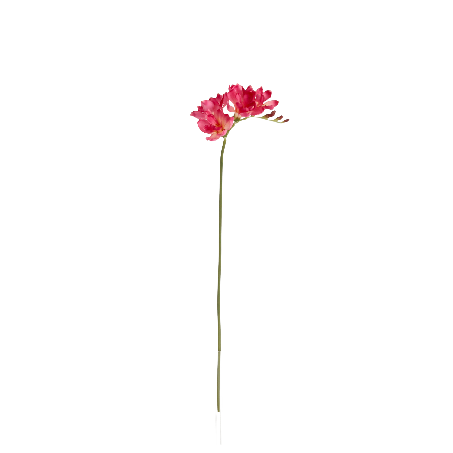 Freesia Kunsttak 53cm Cerise