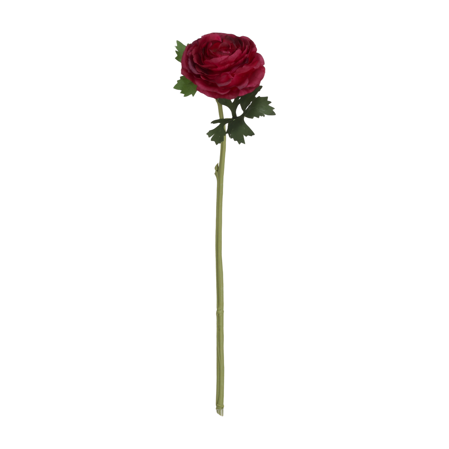 Ranonkel Kunstbloem Deluxe 54cm Burgundy