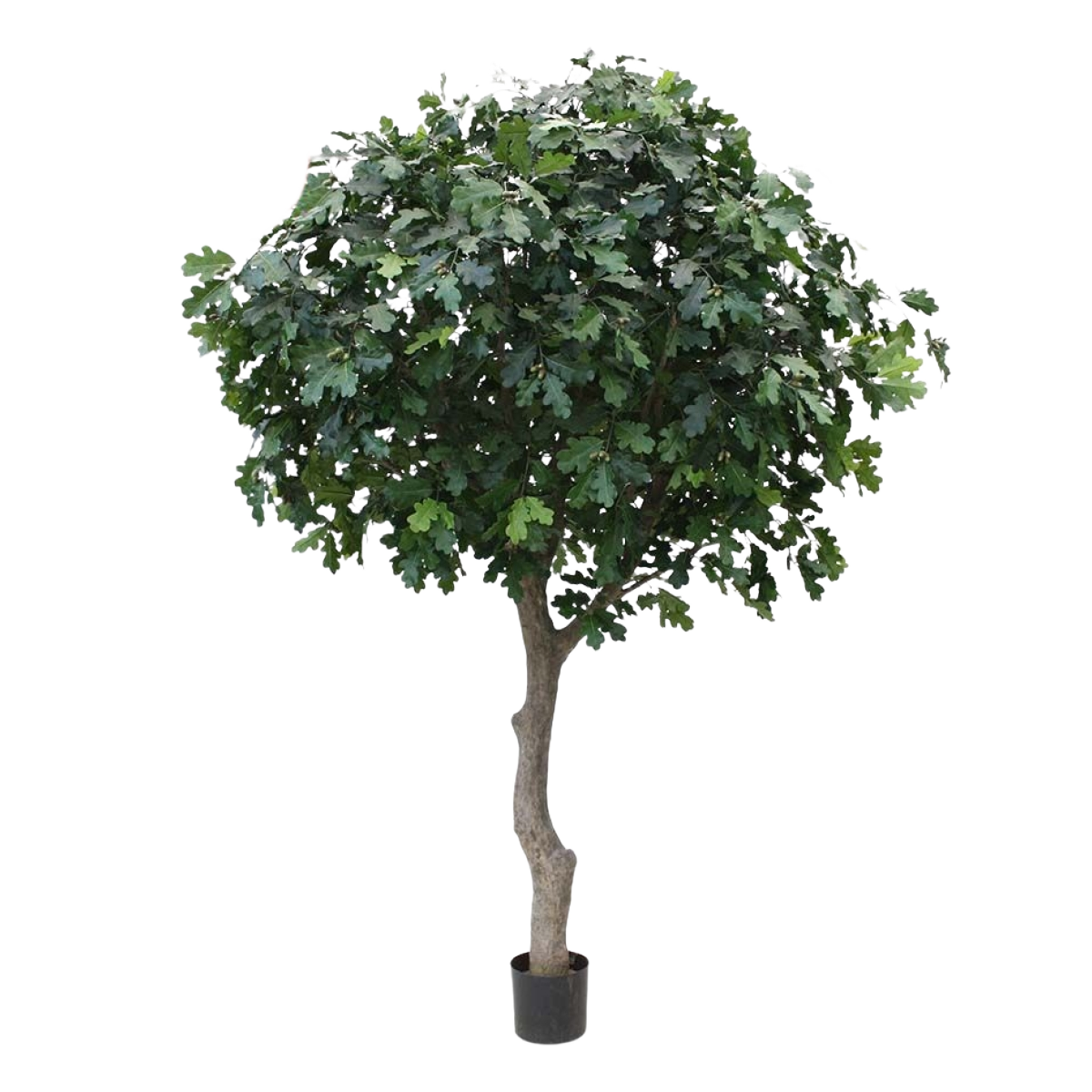 Eikenboom Giant deluxe kunstboom 300cm - FR - brandvertragend