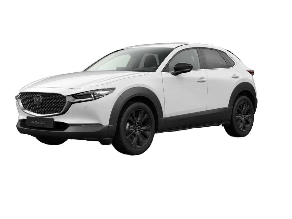 Mazda CX 30 occasion