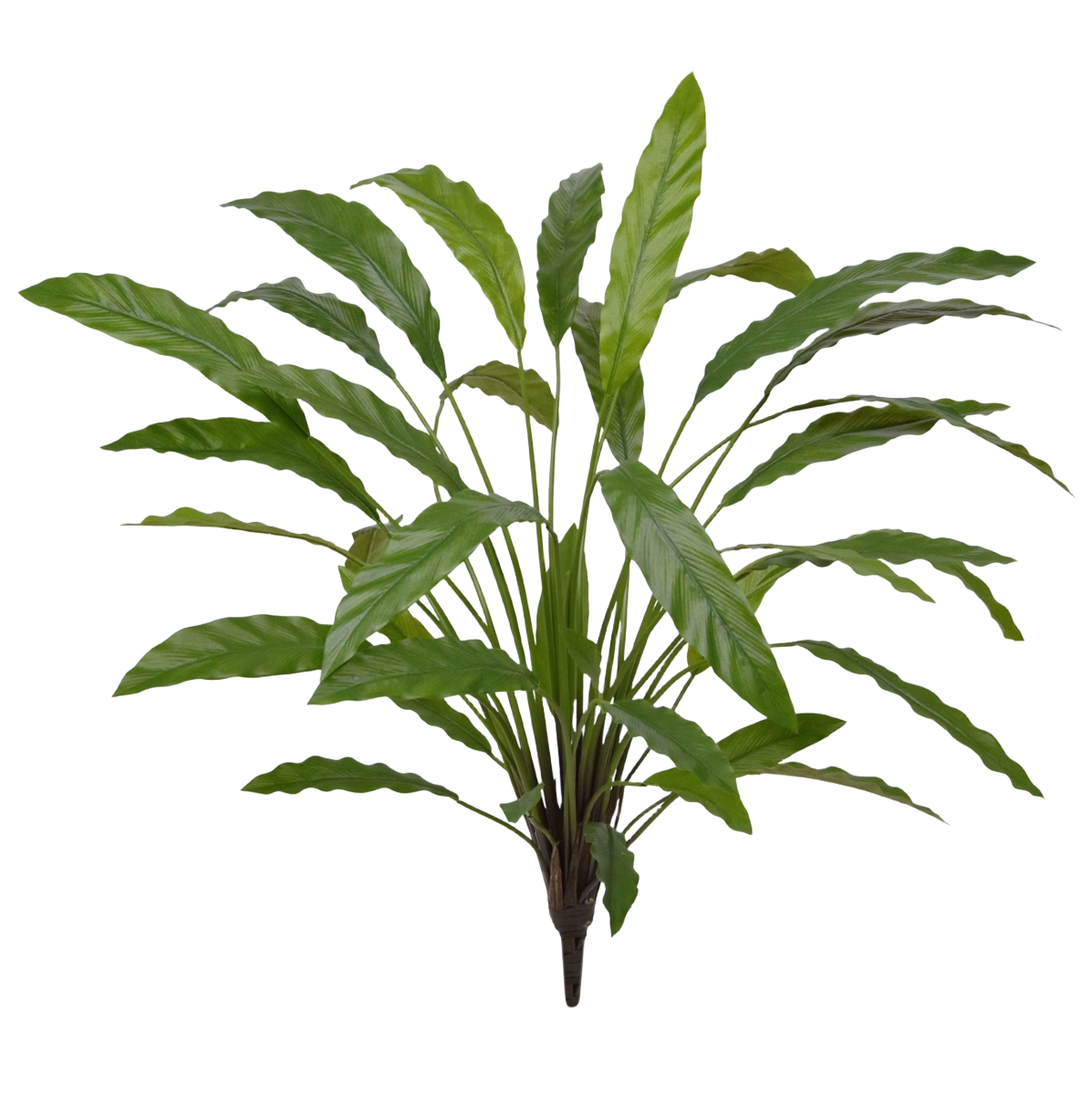 Calathea 75cm Kunstplant groen