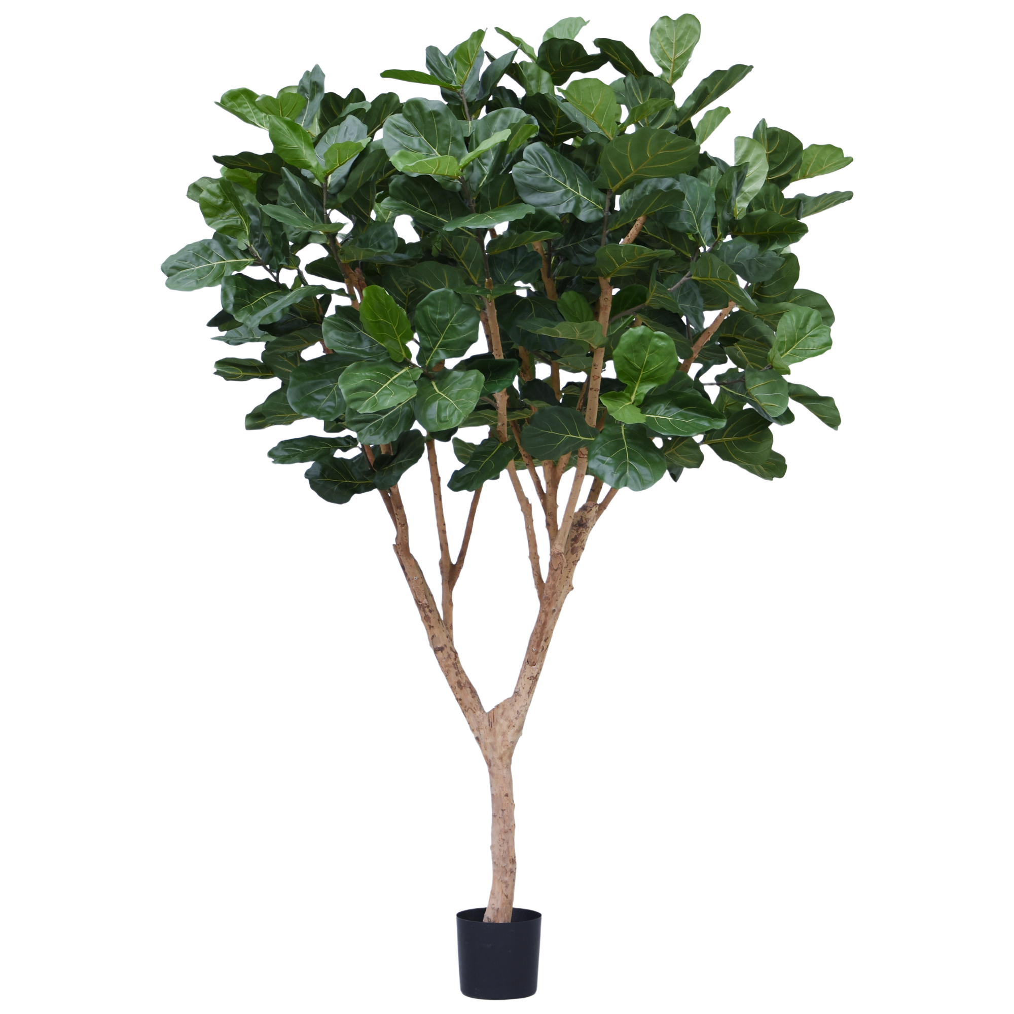 Ficus Lyrata XL kunstboom Deluxe 300cm