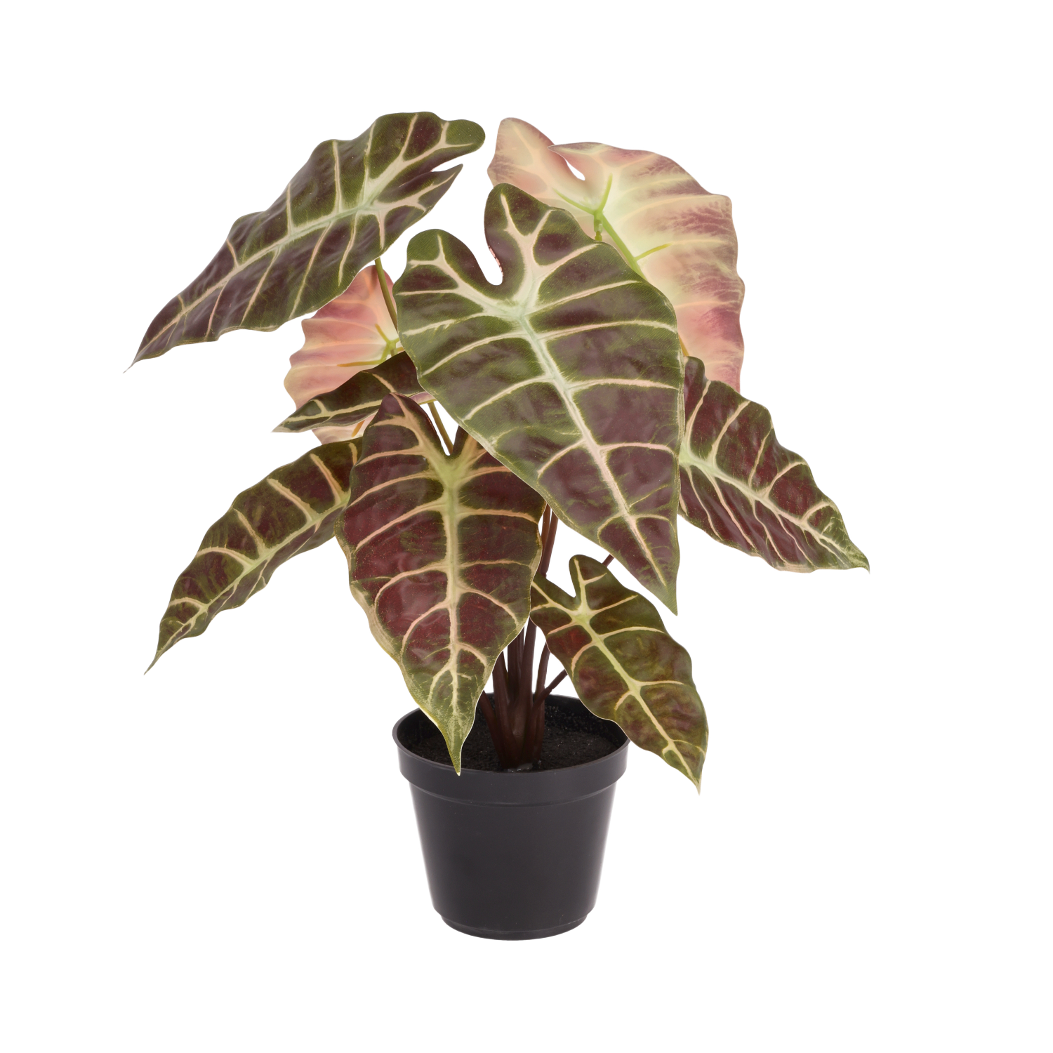 Alocasia kunstplant 40cm Burgundy in kweekpot