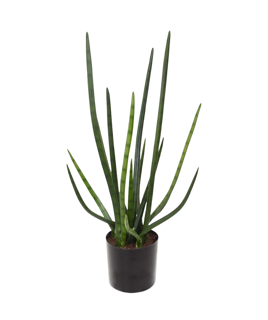 Sanseveria Cylindrica kunstplant 75cm - groen
