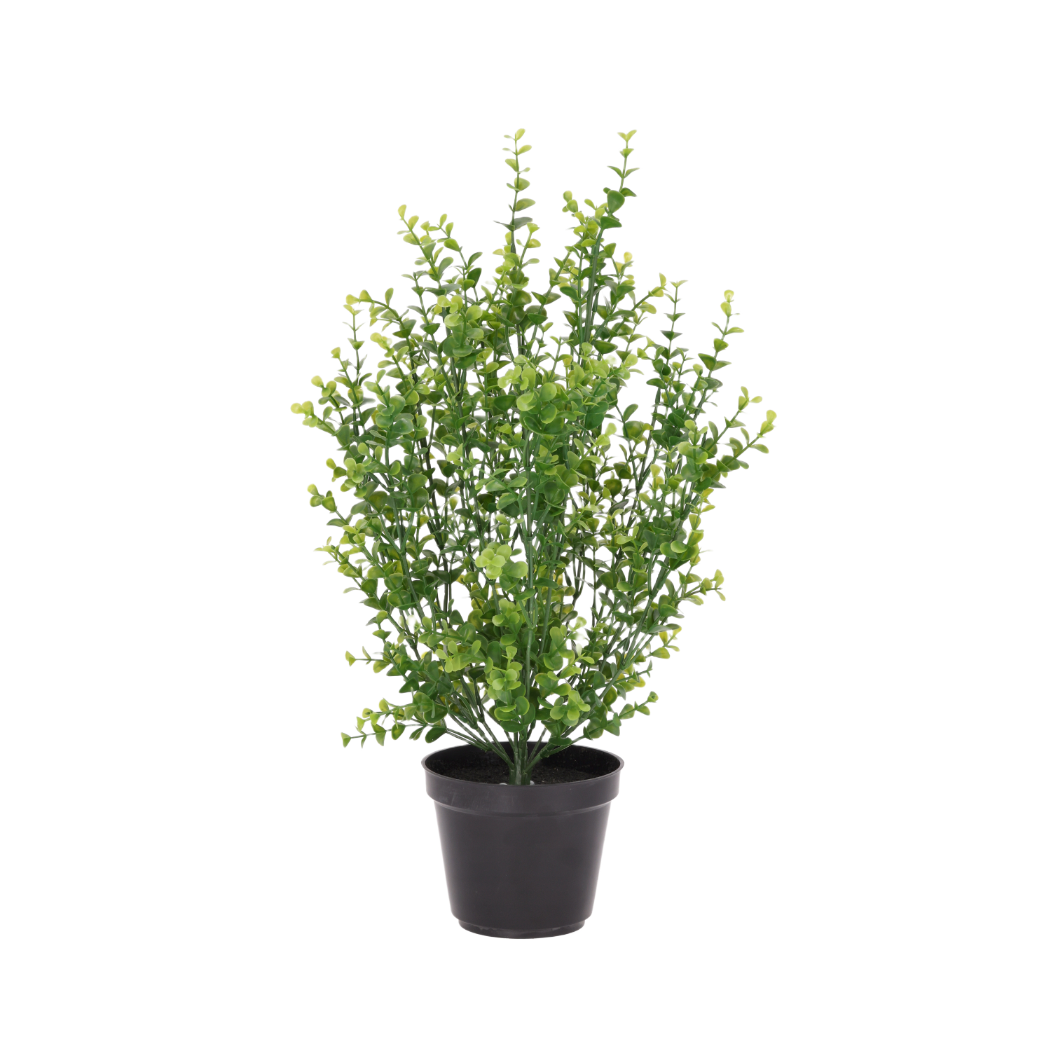 Buxus Kunstplant Groen 50cm in kweekpot 12cm