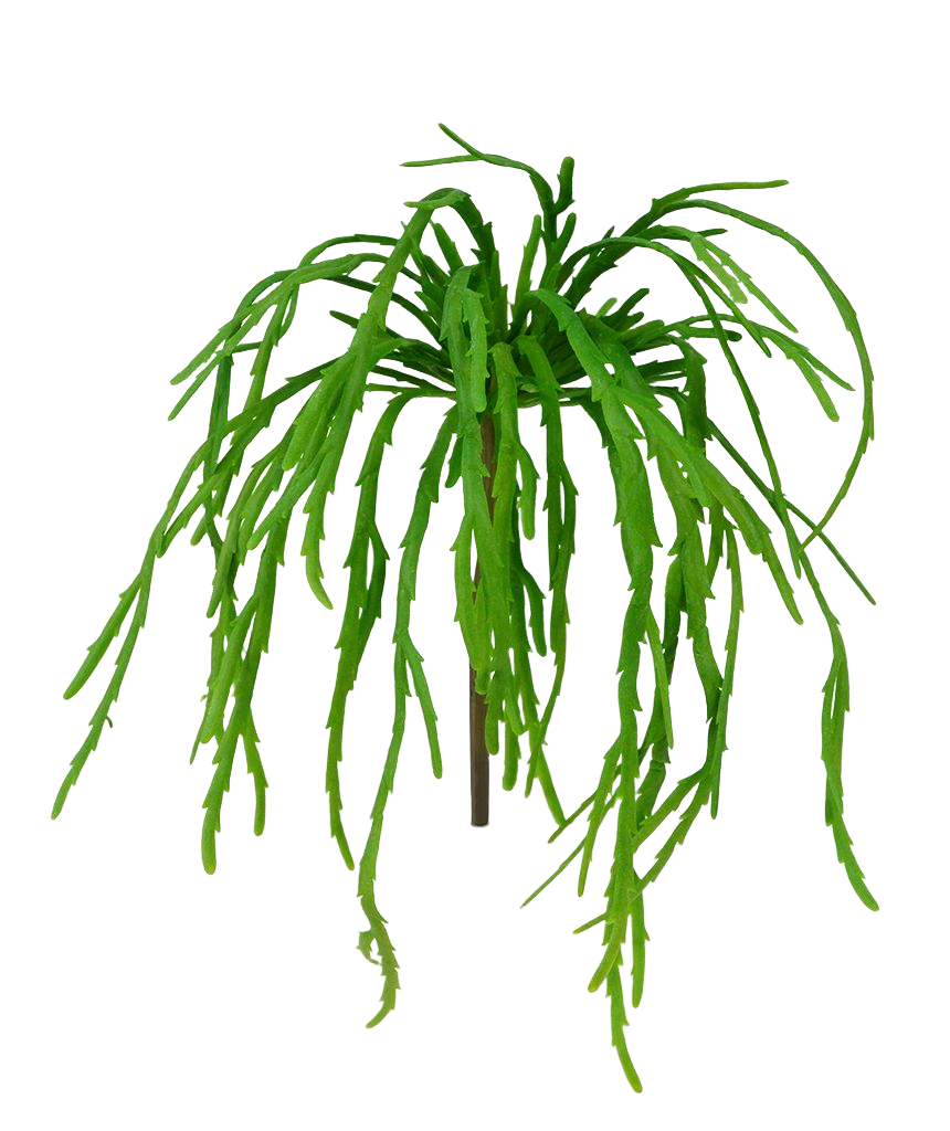 Rhipsalis Lepismium kunstplant 30cm