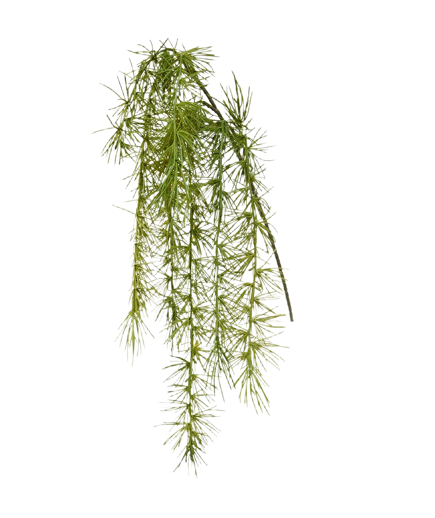 Asparagus Spengeri kunsttak 40 cm