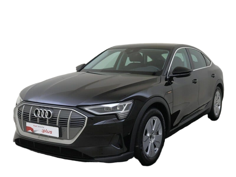 Audi e tron occasion