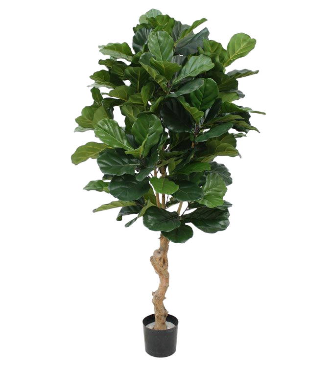 Lyrata deluxe kunstplant 155cm