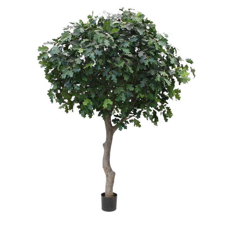 Kunst Eikenboom Giant deluxe 300cm