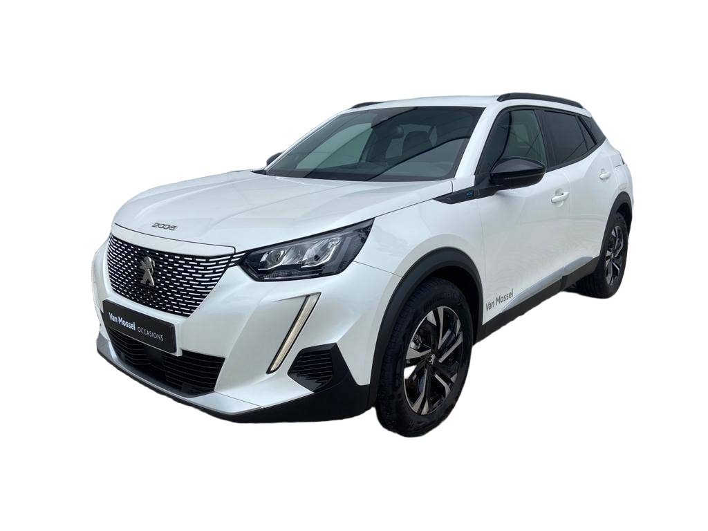 Peugeot e 2008 occasion
