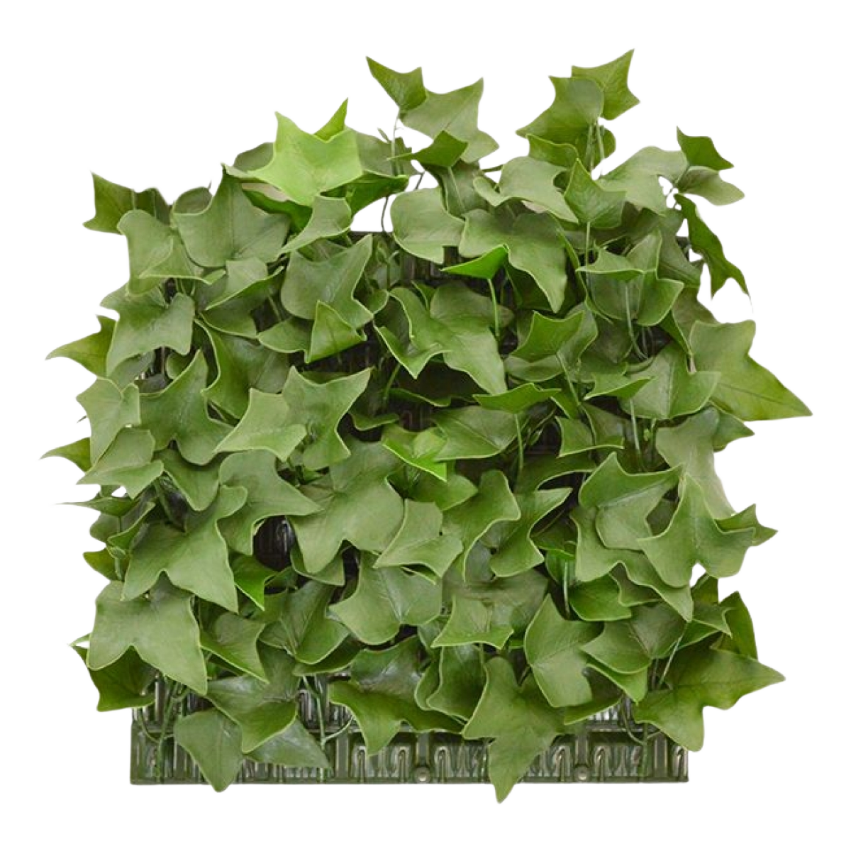 Hedera kunstmat 25x25cm - UV bestendig